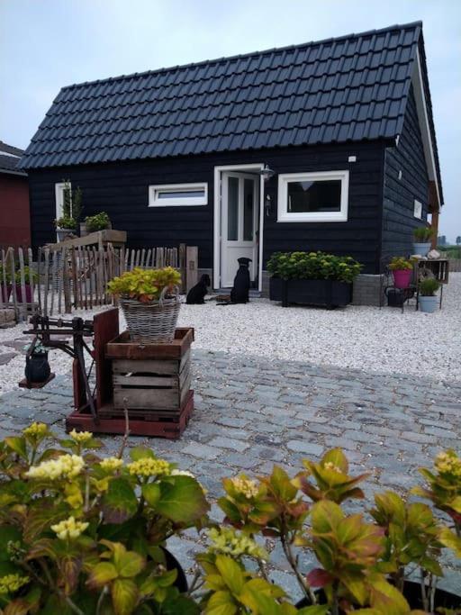 Wellness Chalet Met Jacuzzi, Sauna, Omheinde Tuin, Sint-Annaland Buitenkant foto