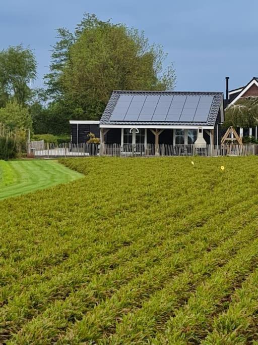 Wellness Chalet Met Jacuzzi, Sauna, Omheinde Tuin, Sint-Annaland Buitenkant foto