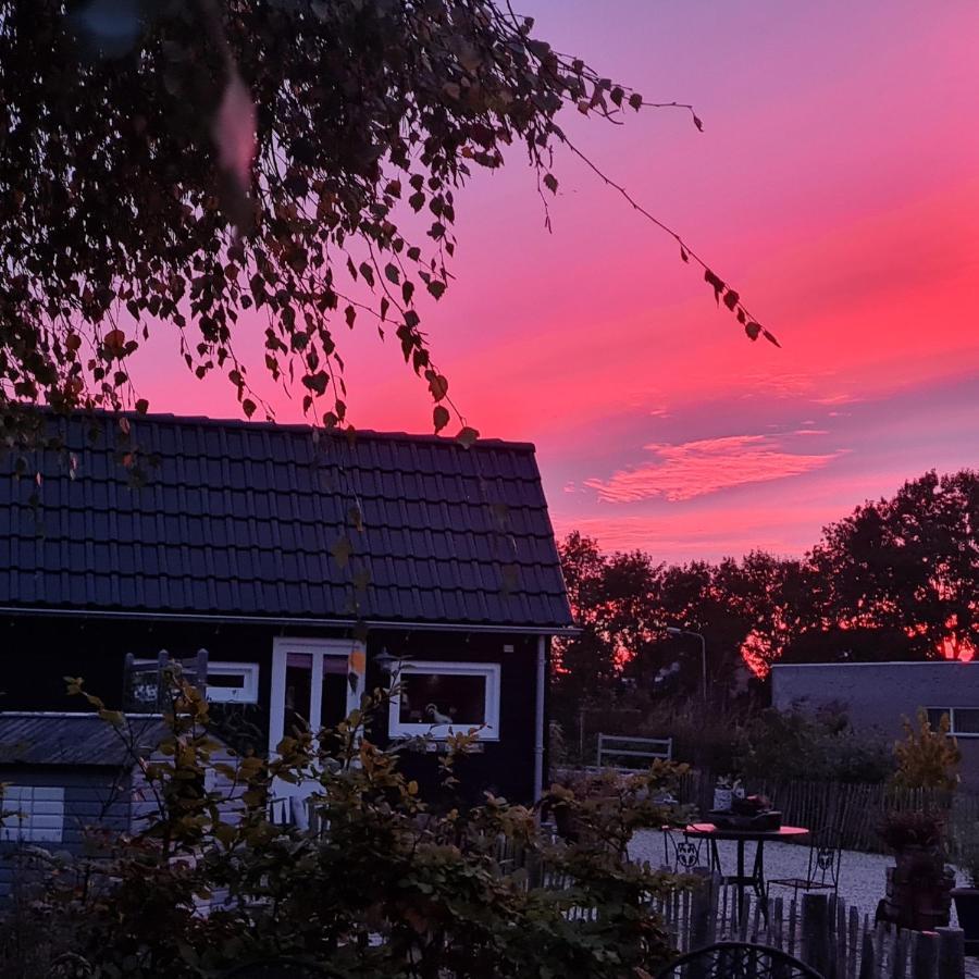 Wellness Chalet Met Jacuzzi, Sauna, Omheinde Tuin, Sint-Annaland Buitenkant foto